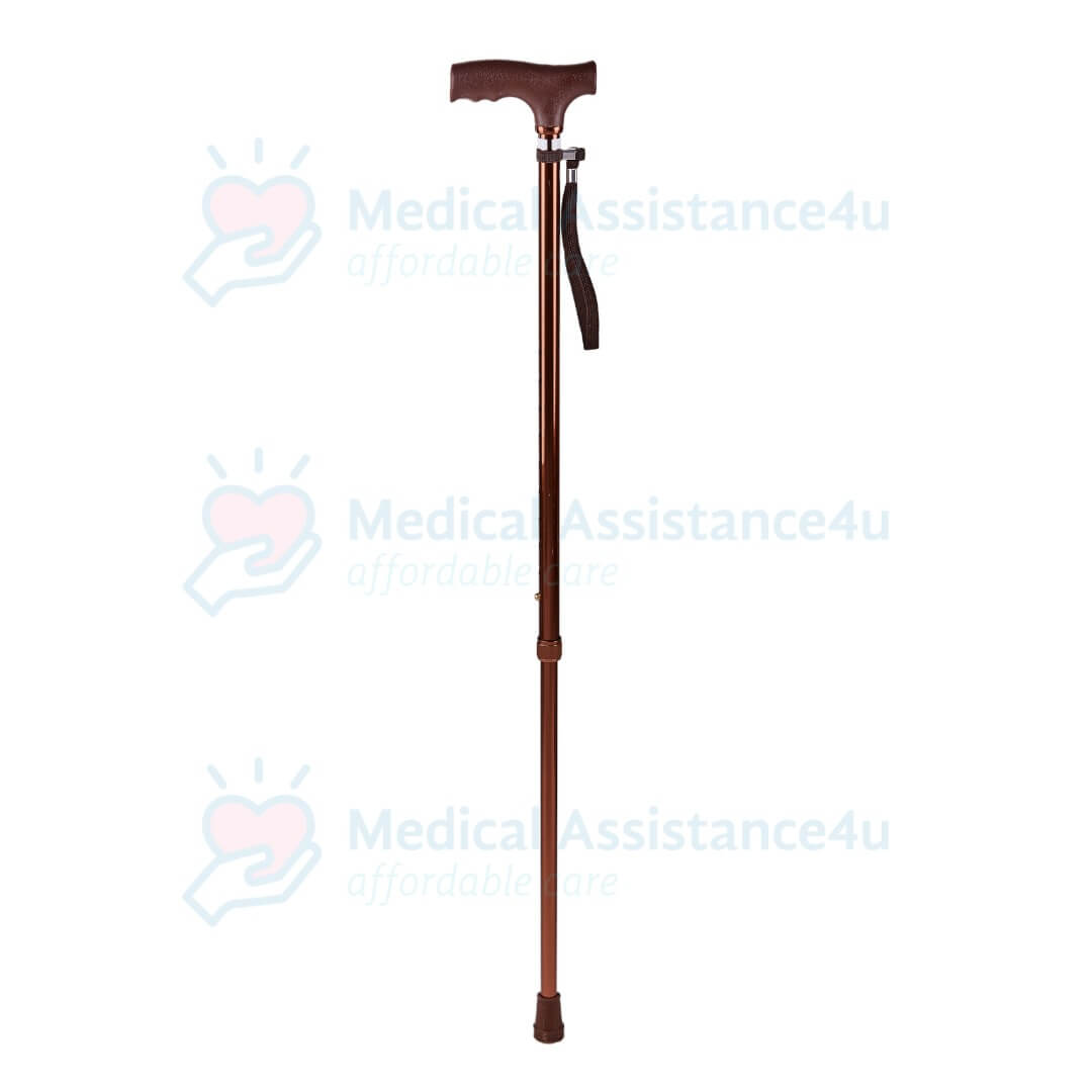 Bronze Luxe Walking Stick