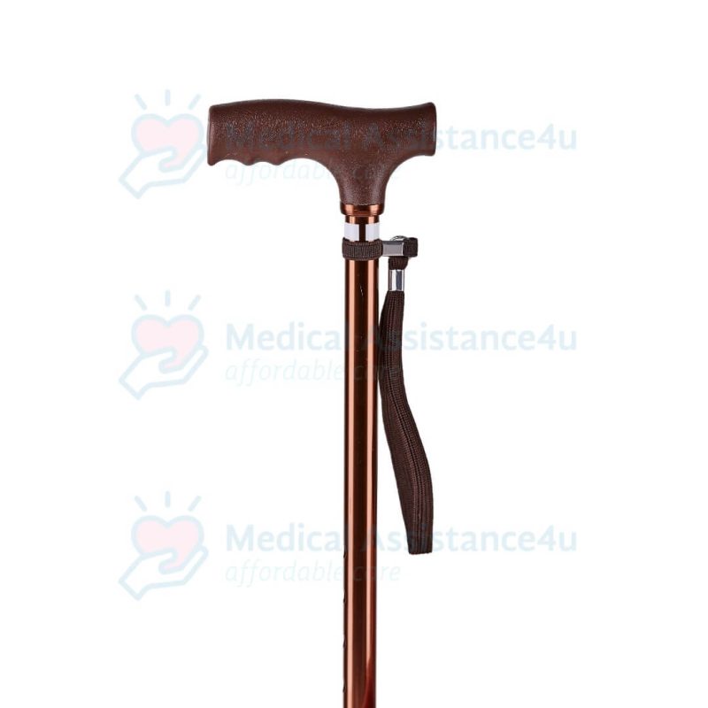 Bronze Luxe Walking Stick
