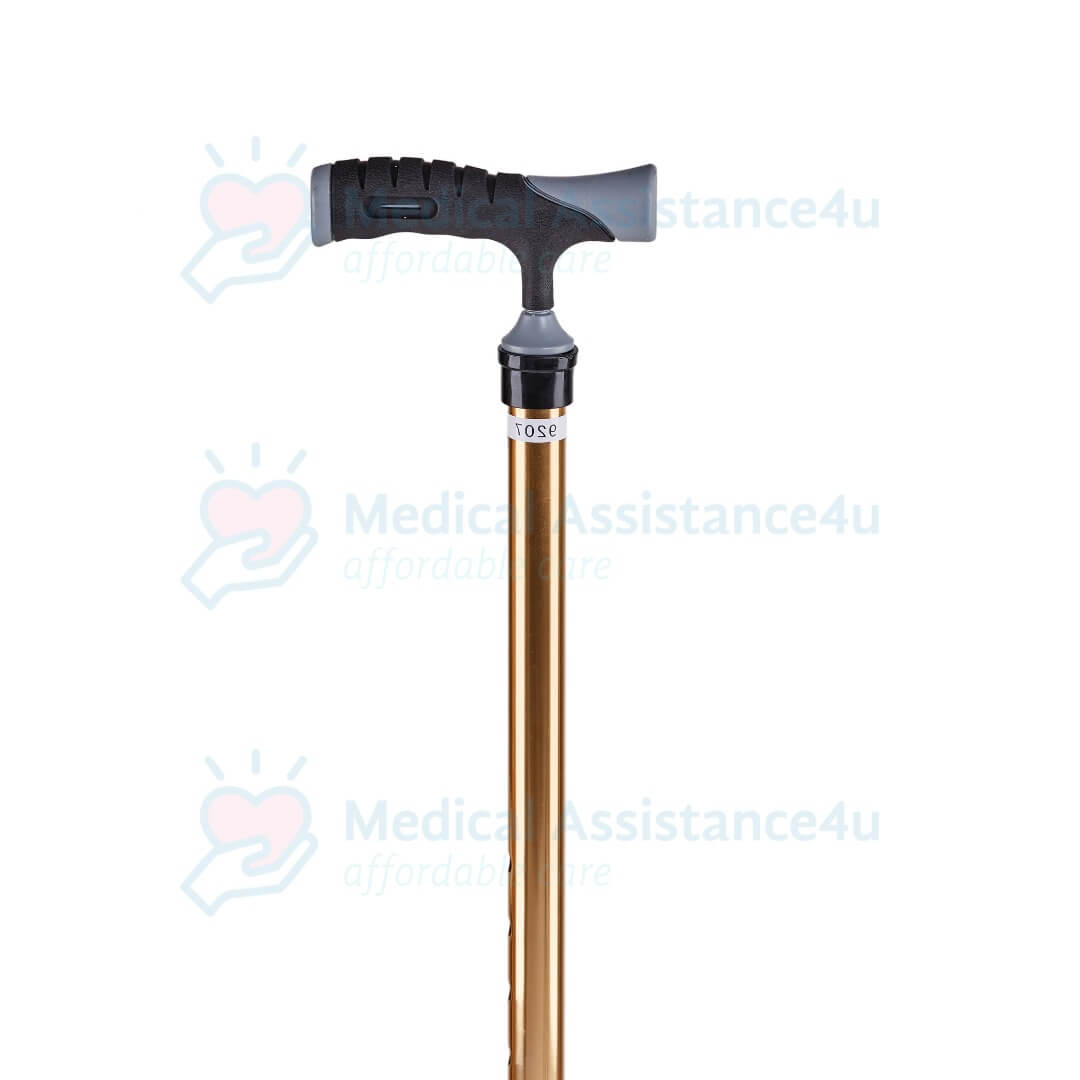 Gold Luxe Walking Stick