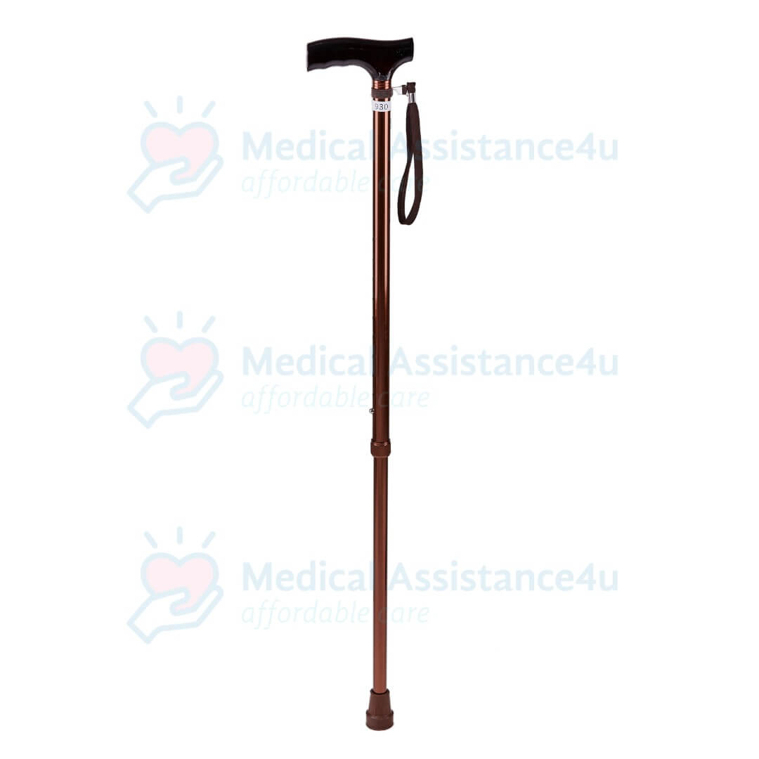 Wood Luxe Walking Stick
