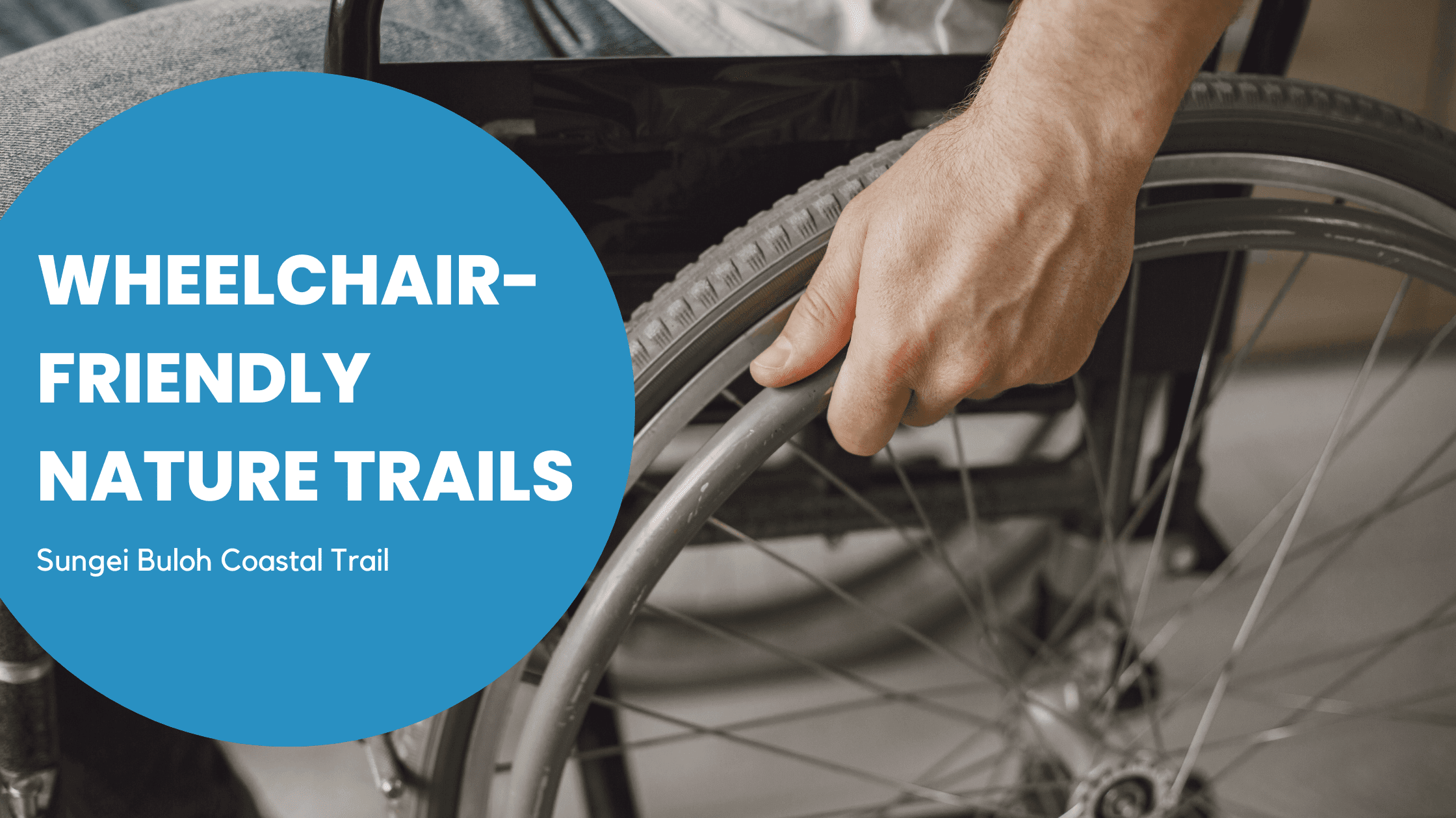 Wheelchair Accessible Nature Trails Sungei Buloh Coastal Trail